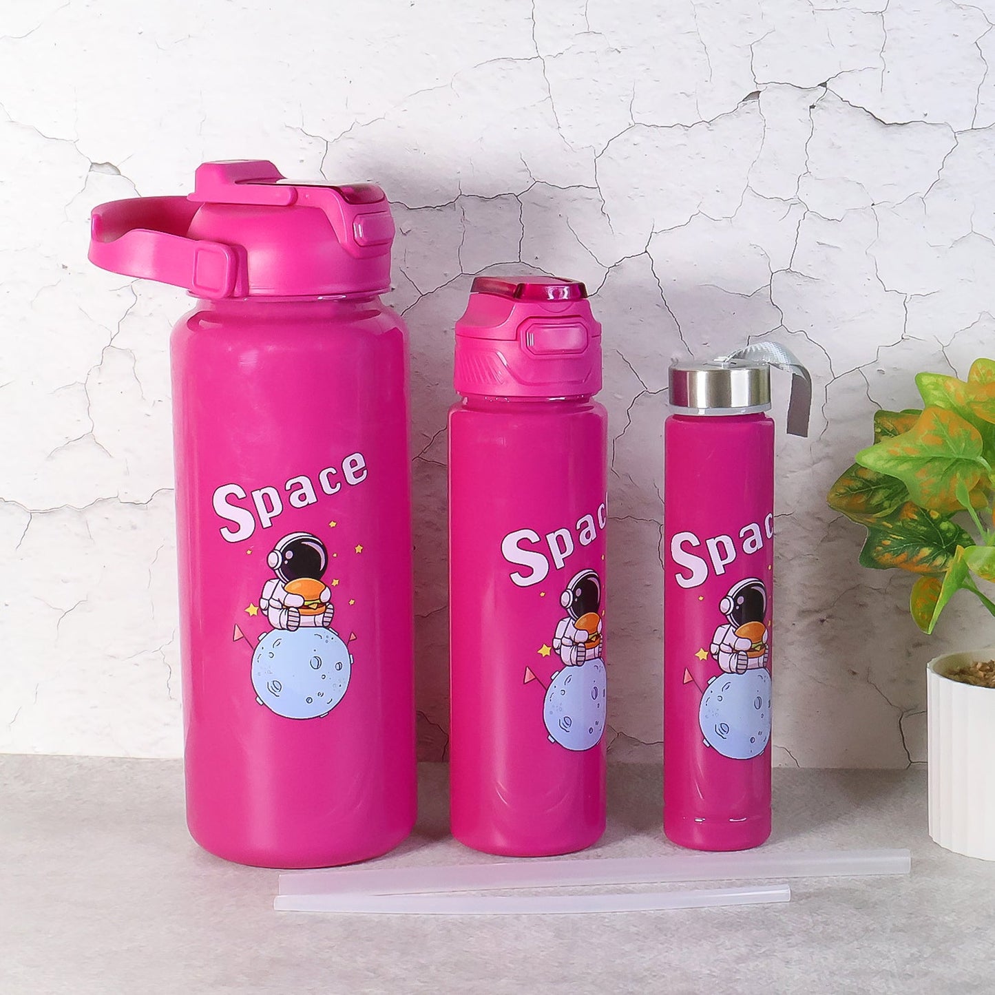 Premium Travel Water Bottle