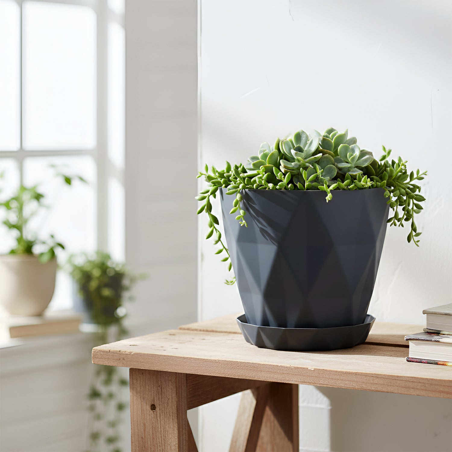 Planter Pots