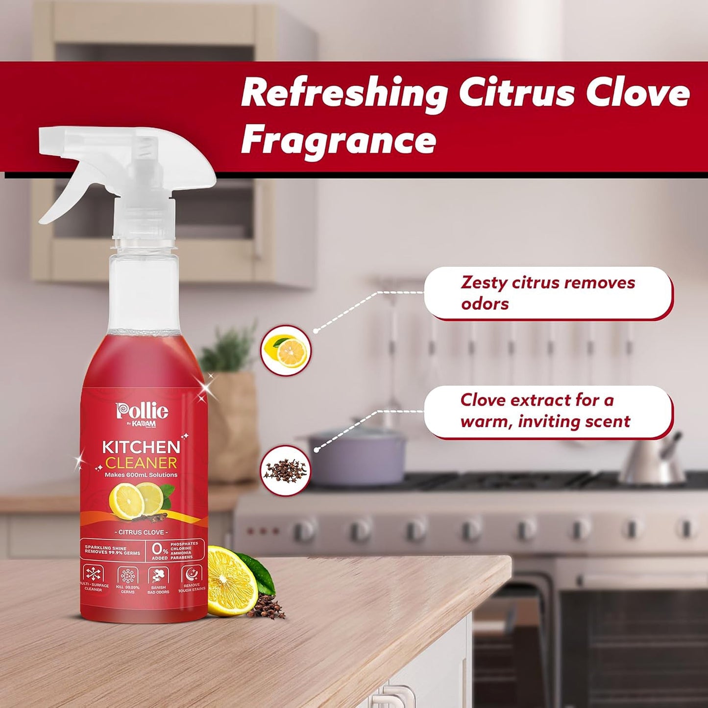 Cleaning Combo