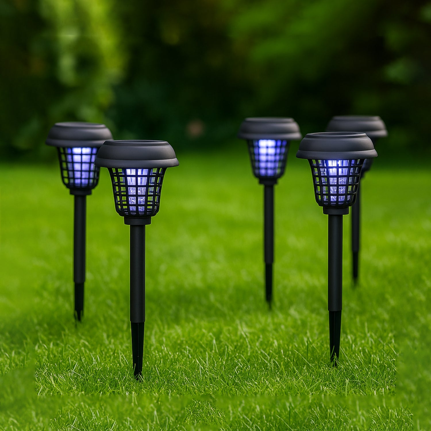 Garden Lights